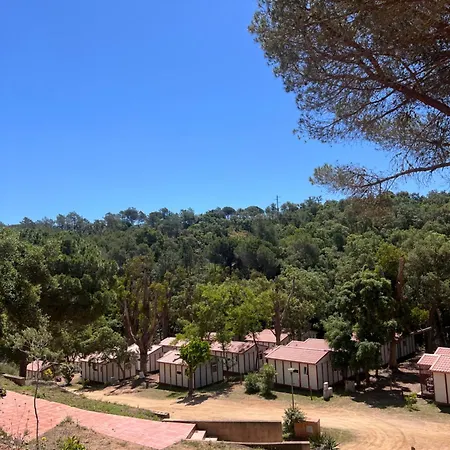 Campsite Turismar *